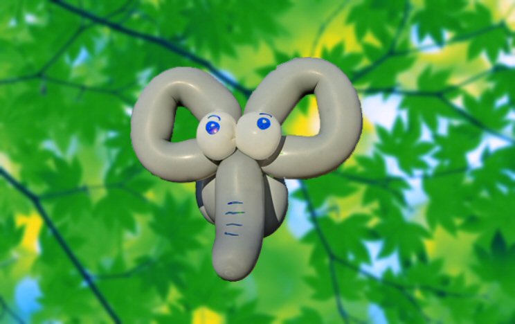 Elephant