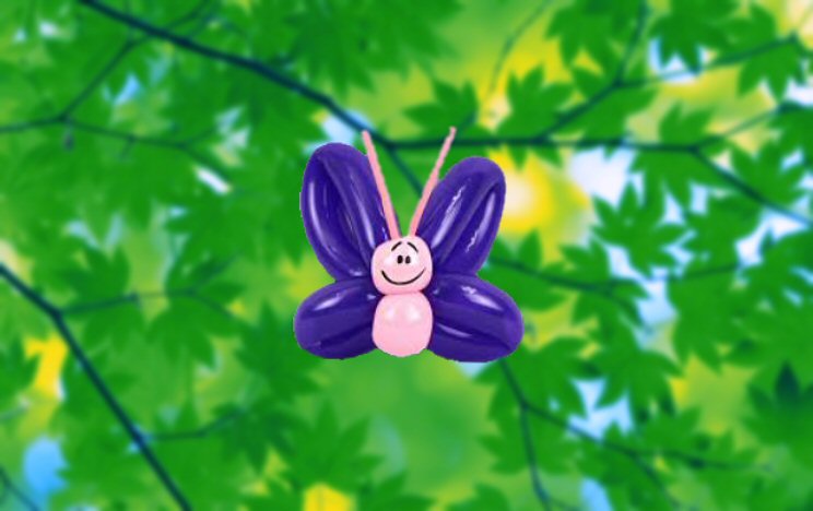 Tiny papillon