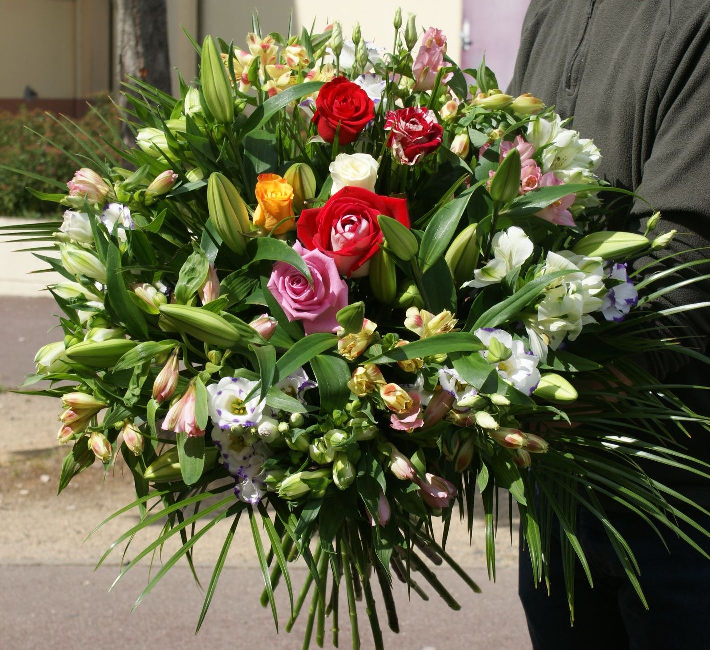 Dsc07008