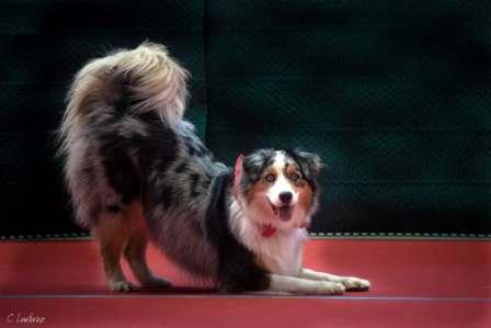 91279056 162409138243372 6963545779696828416 n