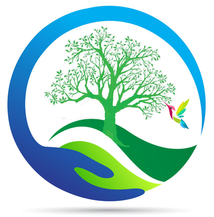 Logo definitif colibri
