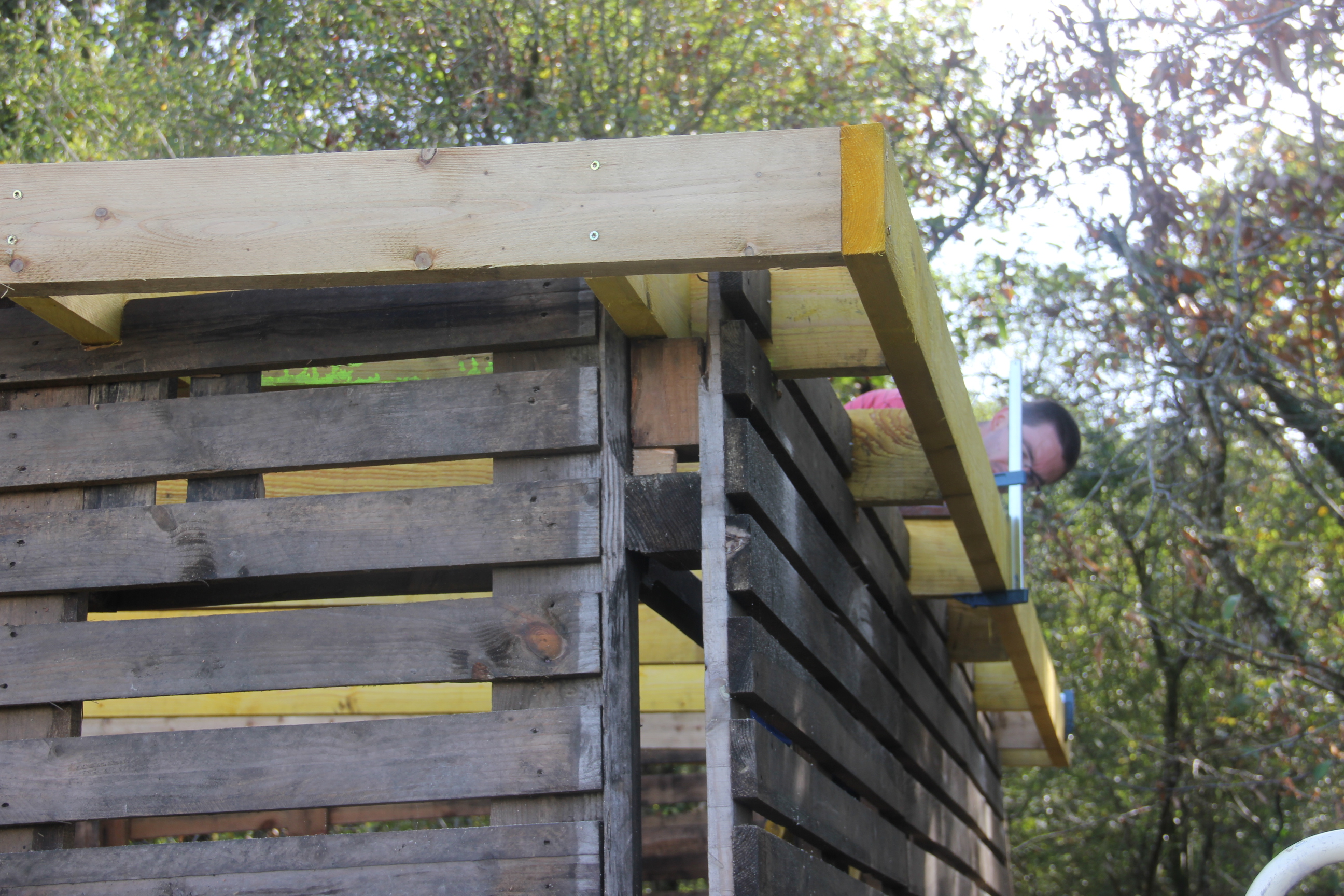 IMG 0308