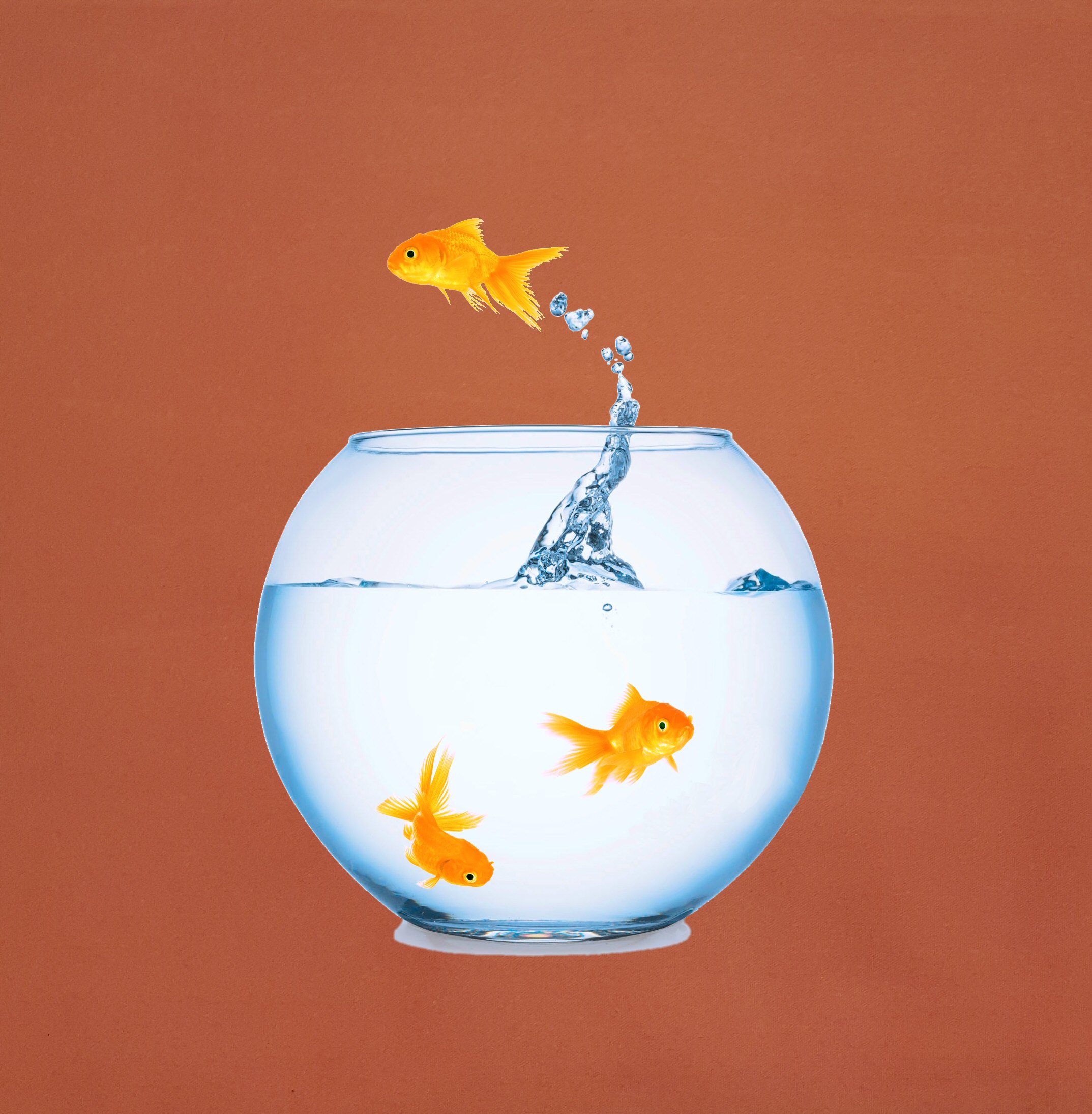 Poisson