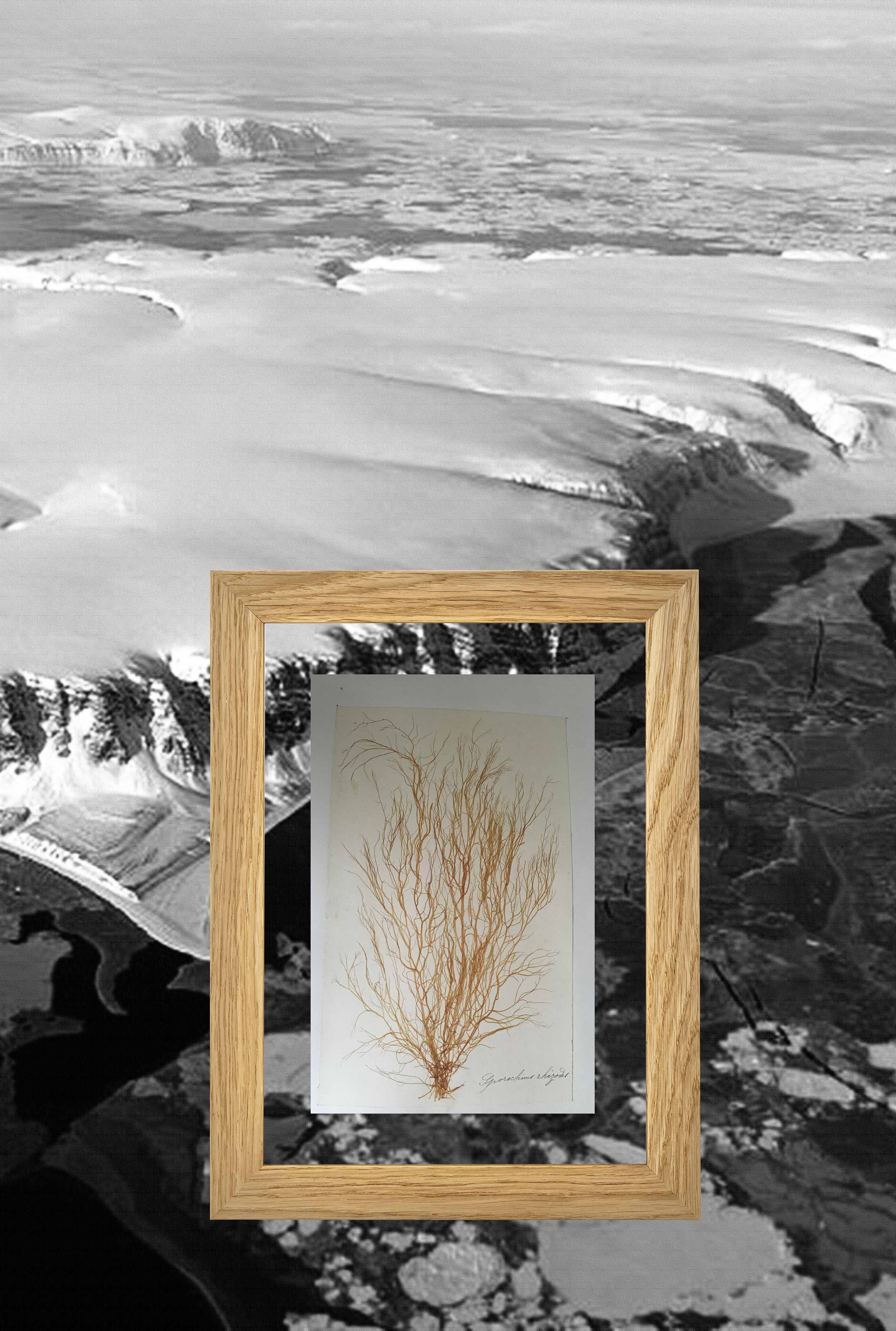 Paysage 1