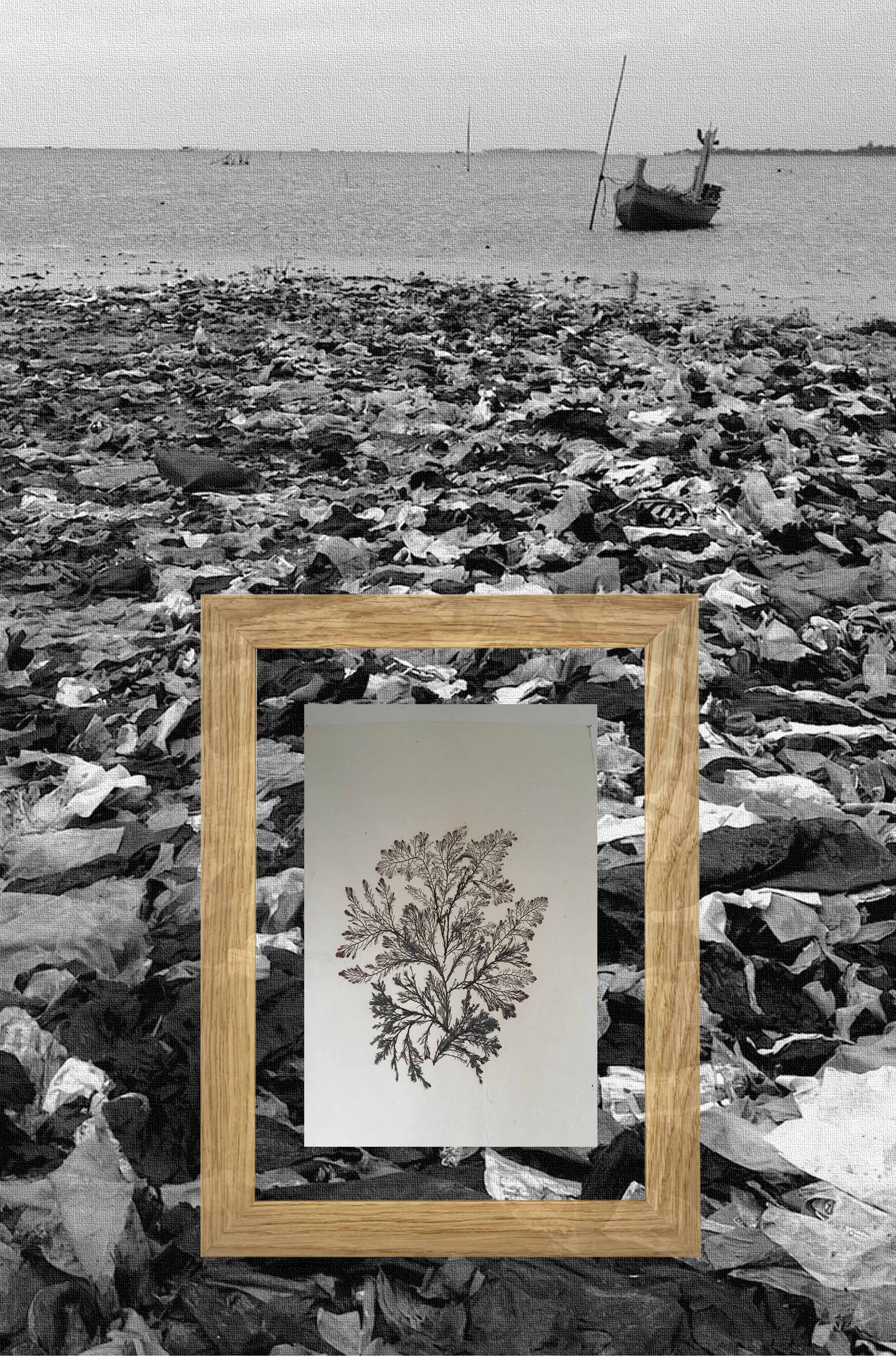 Paysage 2