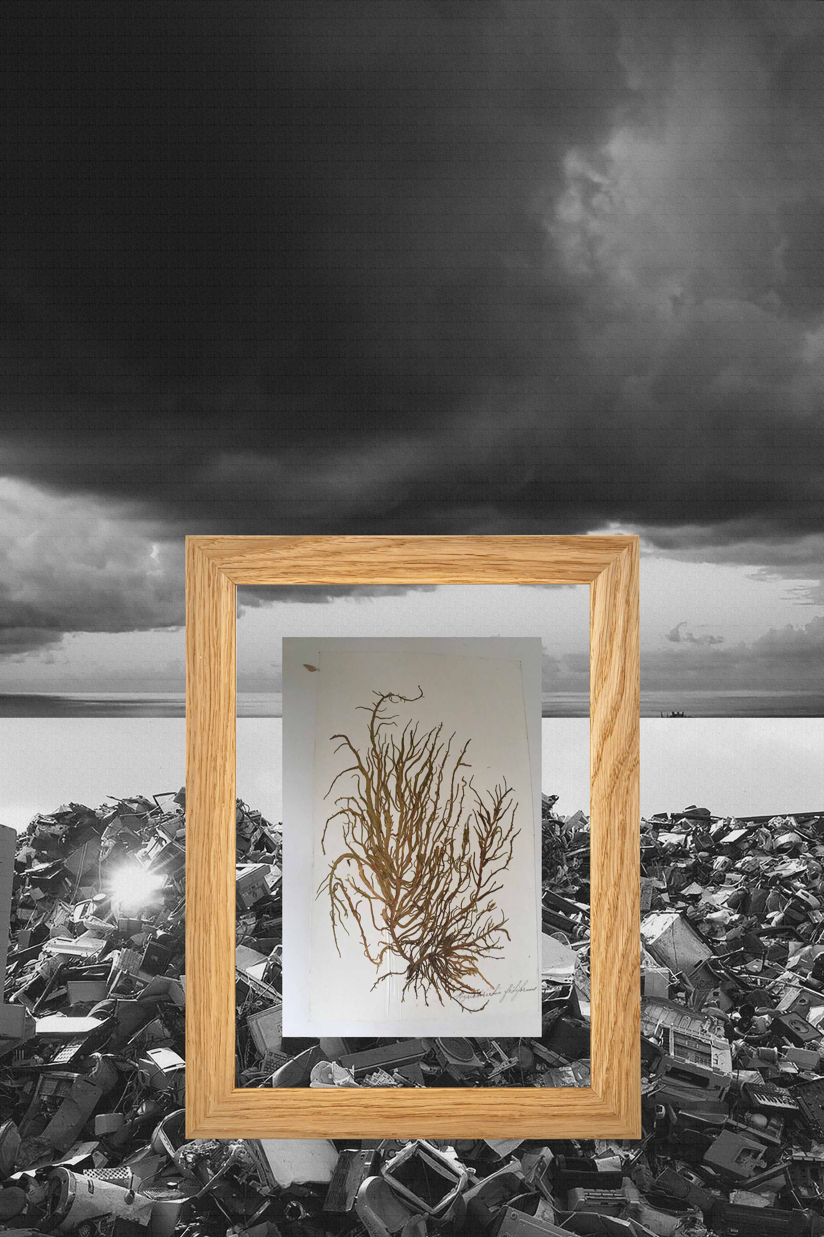 Paysage 7
