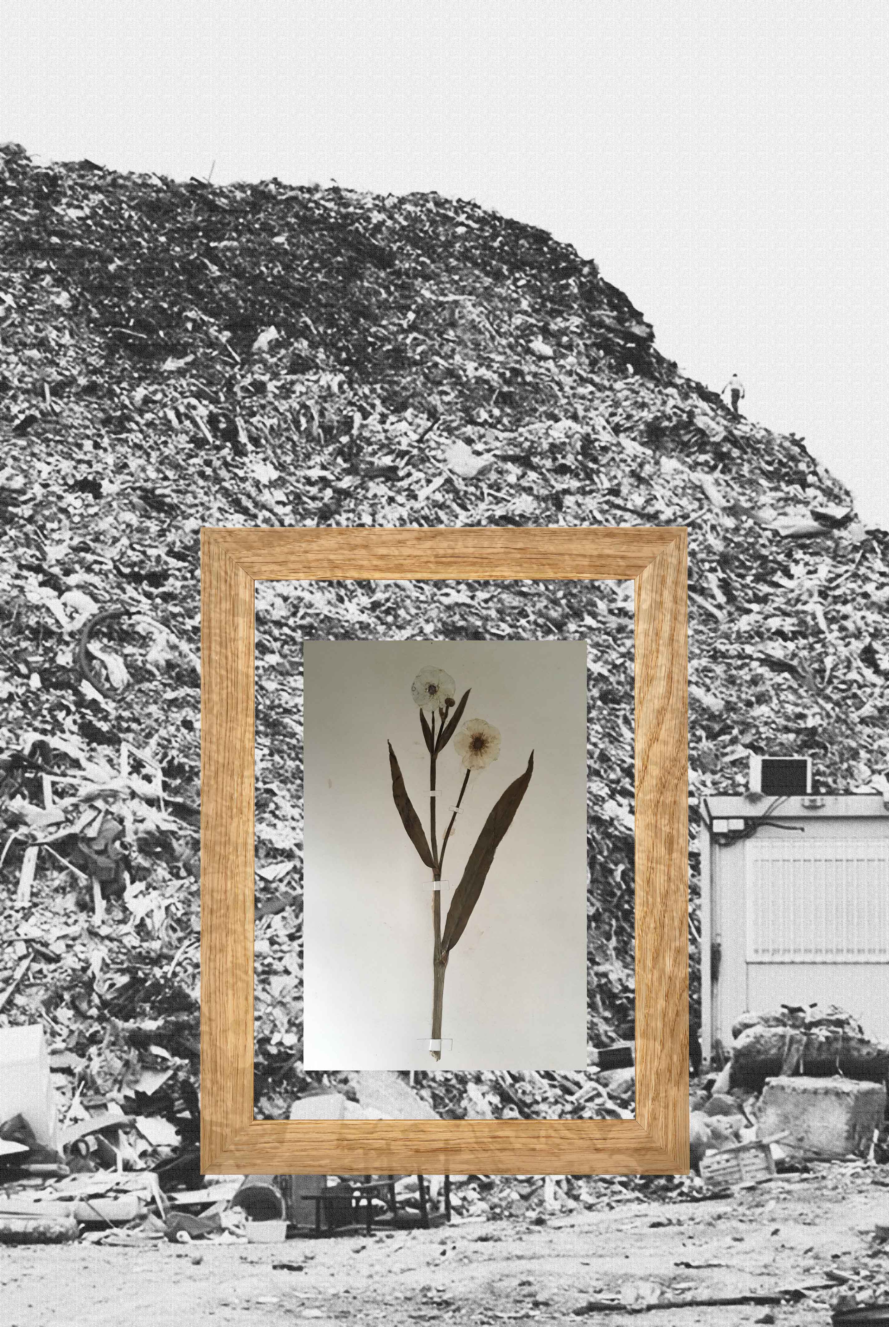 Paysage10