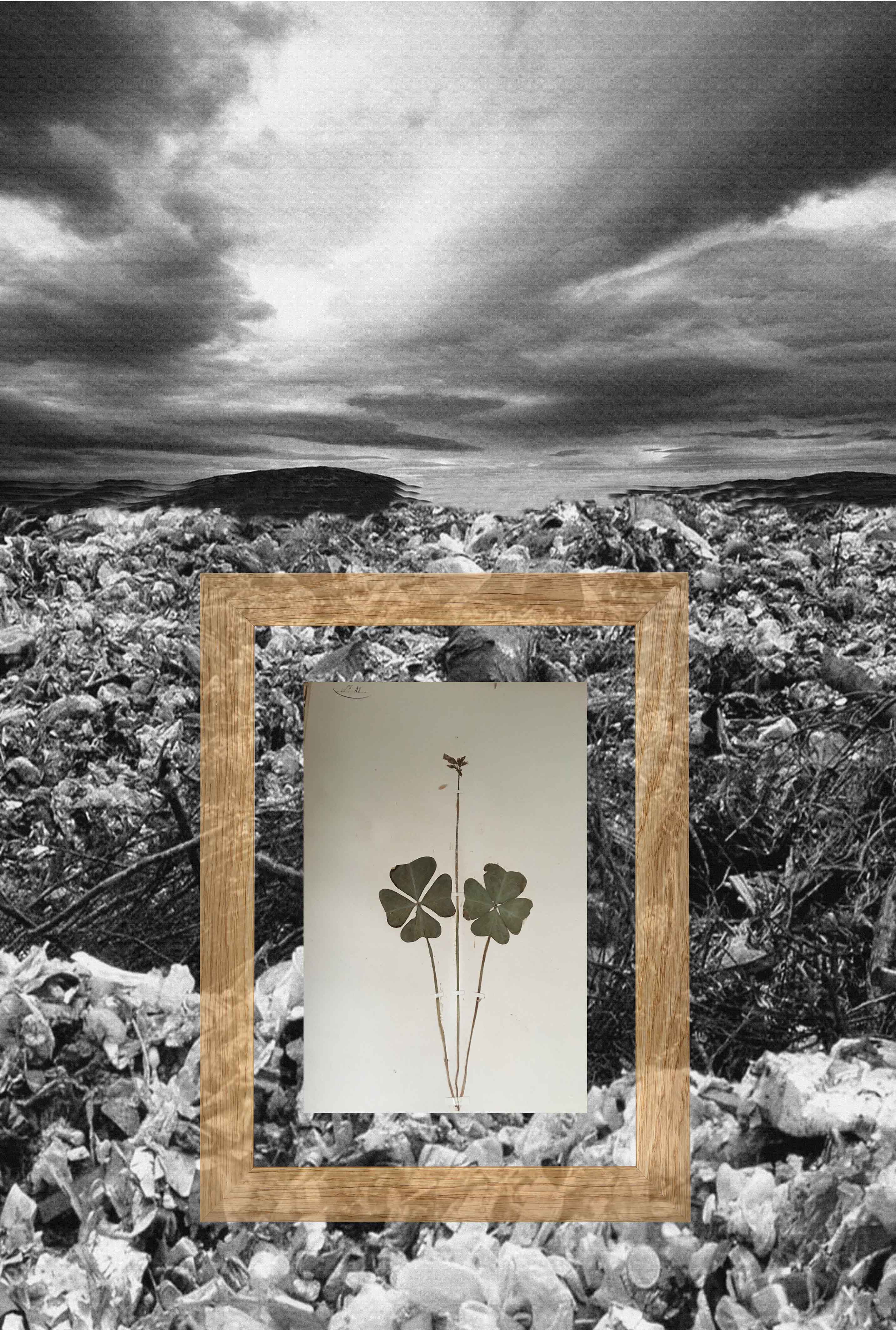 Paysage11