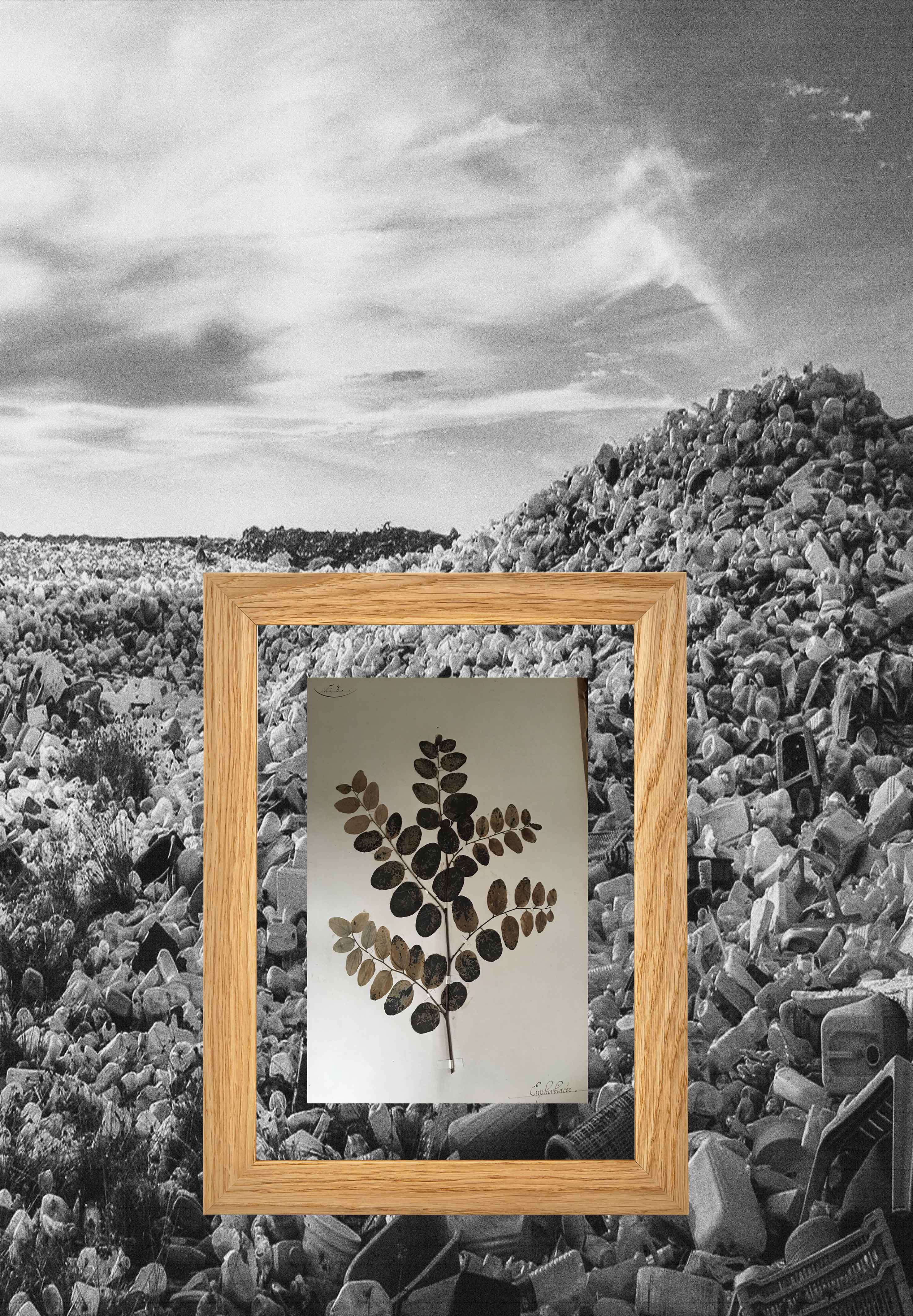Paysage 12