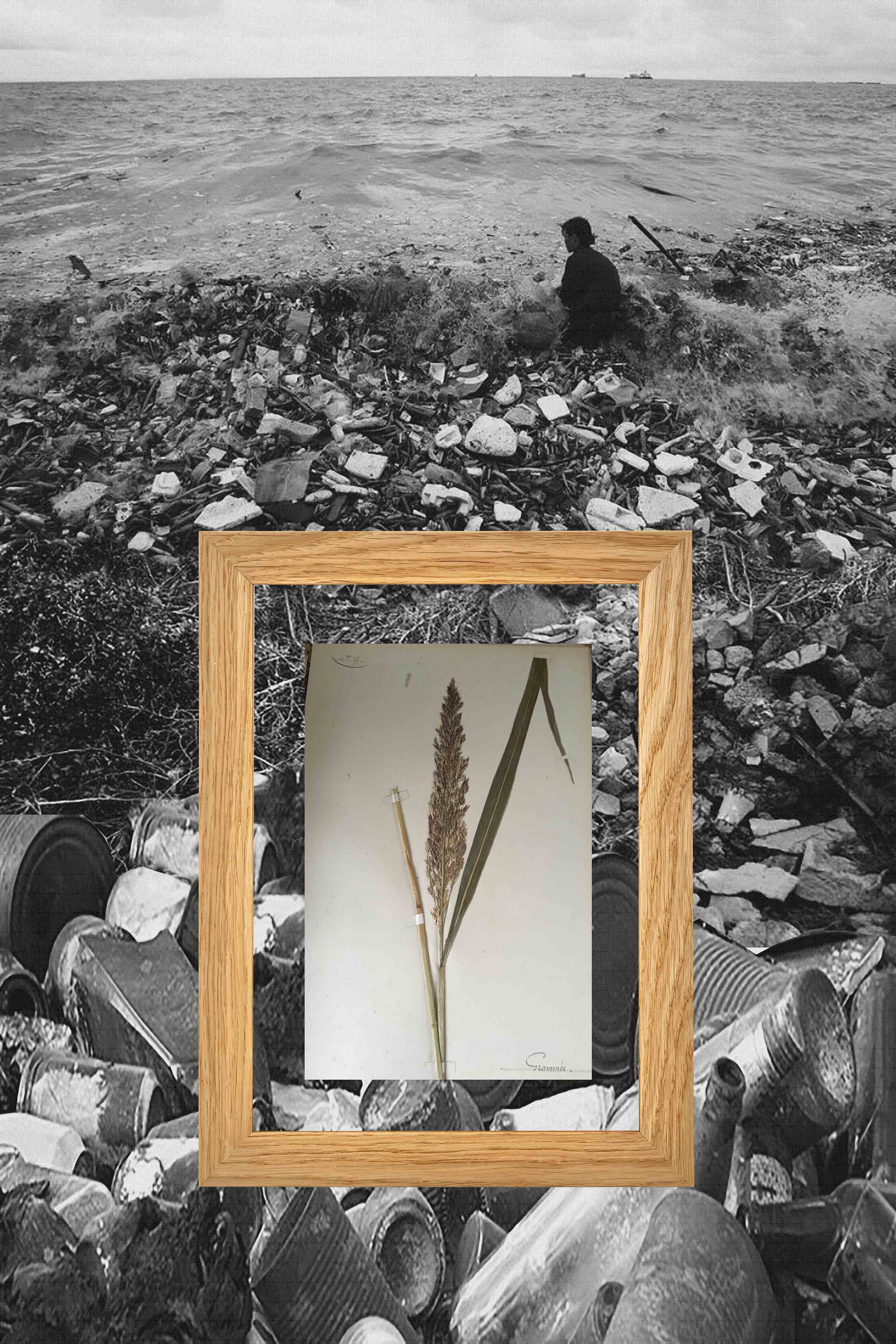 Paysage 14
