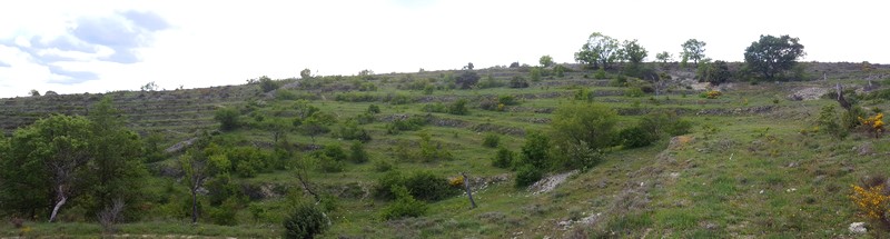 Parc 1