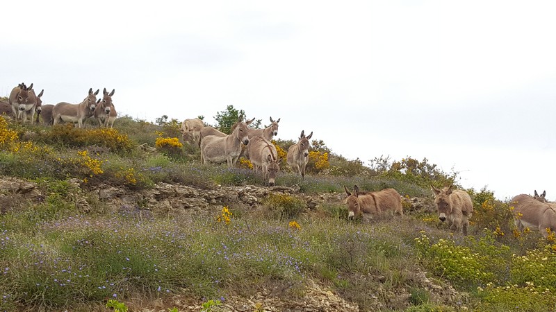 Parc 3