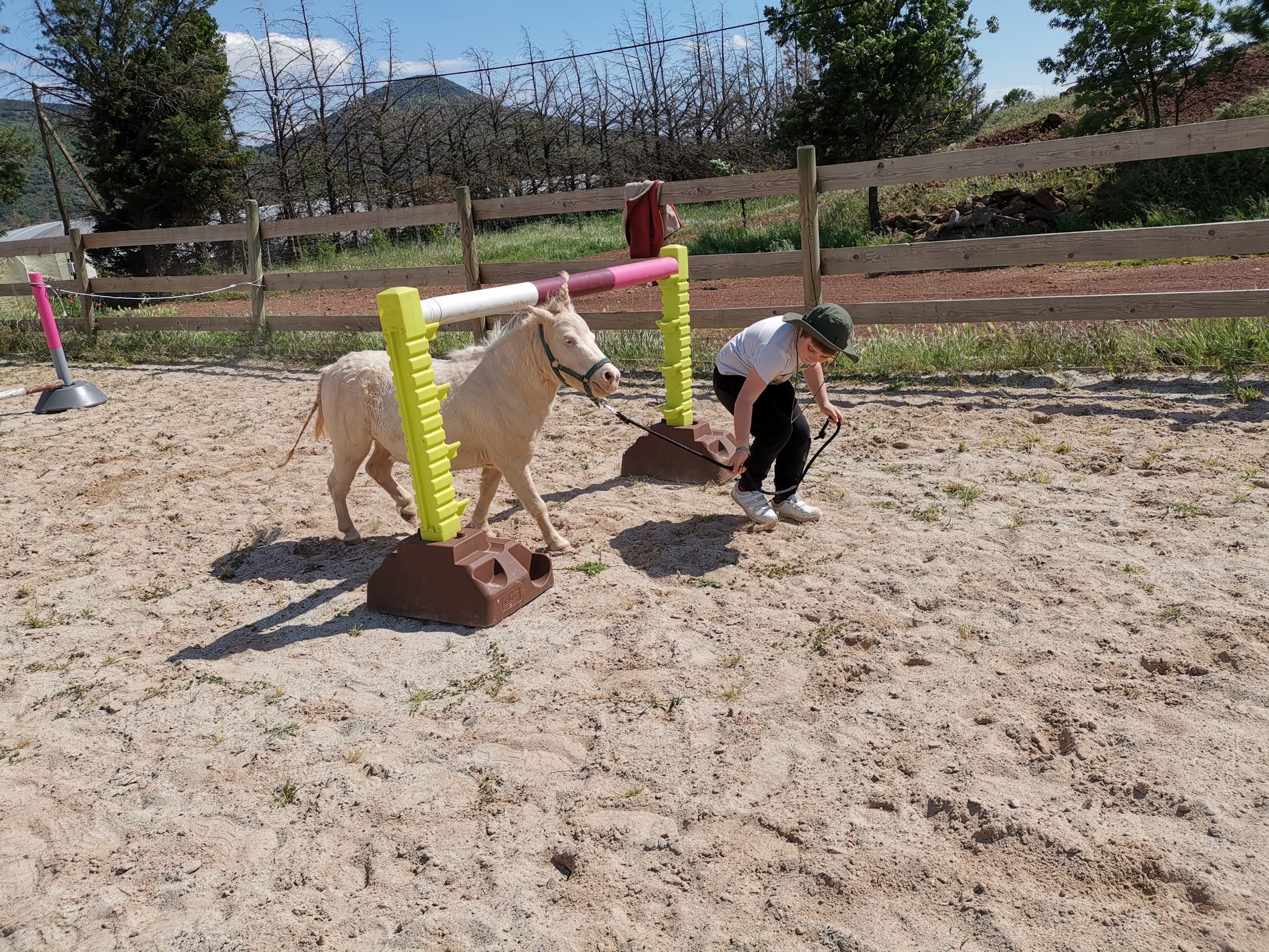 Img 20190502 153905