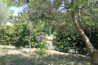 Gîte et Piscine L'ardèchouette (07)