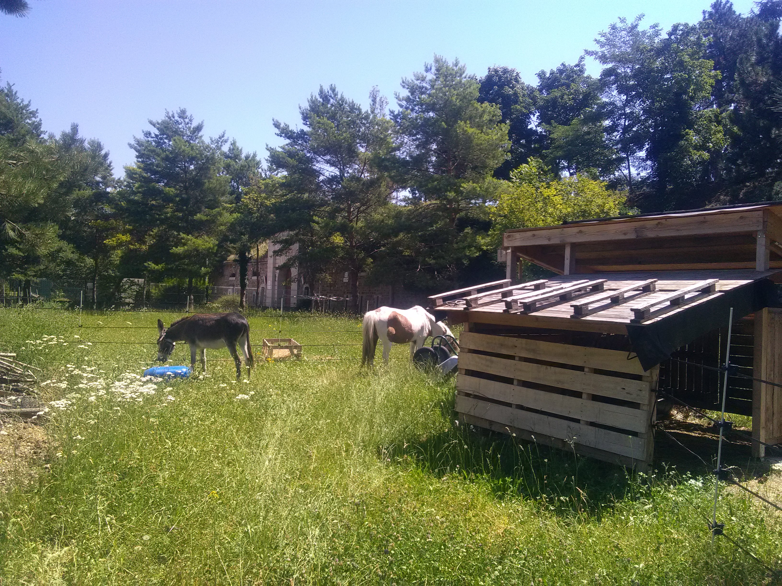 Img 20190629 123623