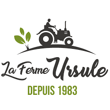 Ursule