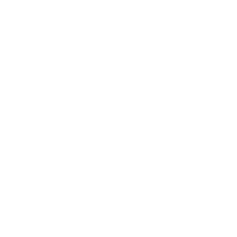 Agidev Logo blanc
