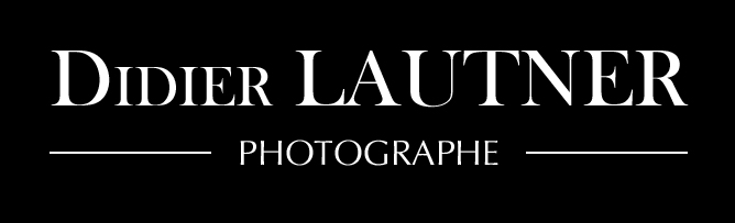 LOGO Didier Lautner