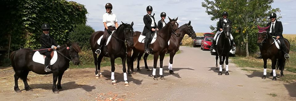 Equipe carrousel