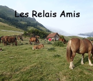 Relais Amis