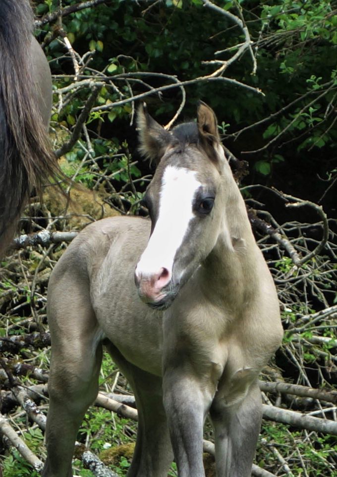 96782826 936824176778756 5071367000794595328 n