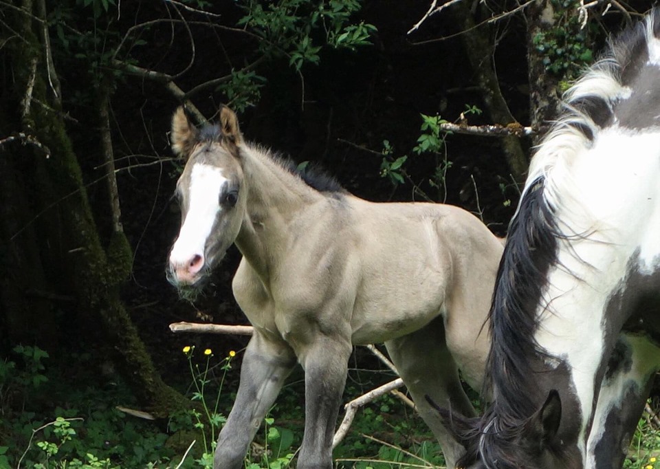 97006892 277809233376306 3623001761117110272 n