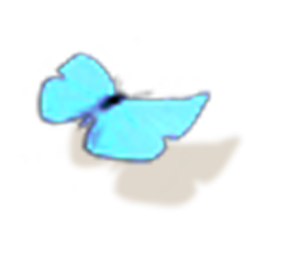  00 papillon bleu pour beth a sept ans