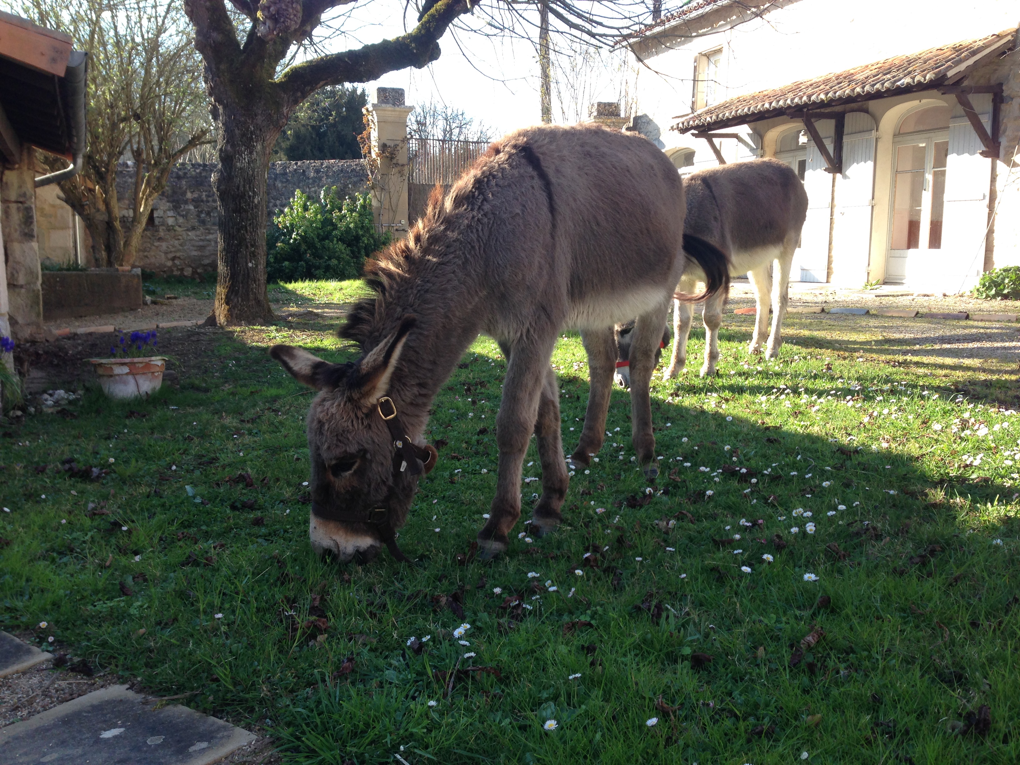 Fermecouranes1