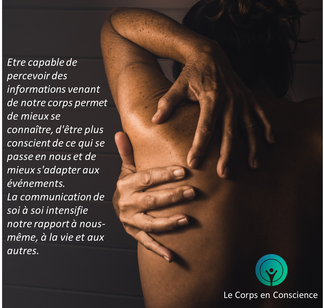 Véritable intelligence du corps