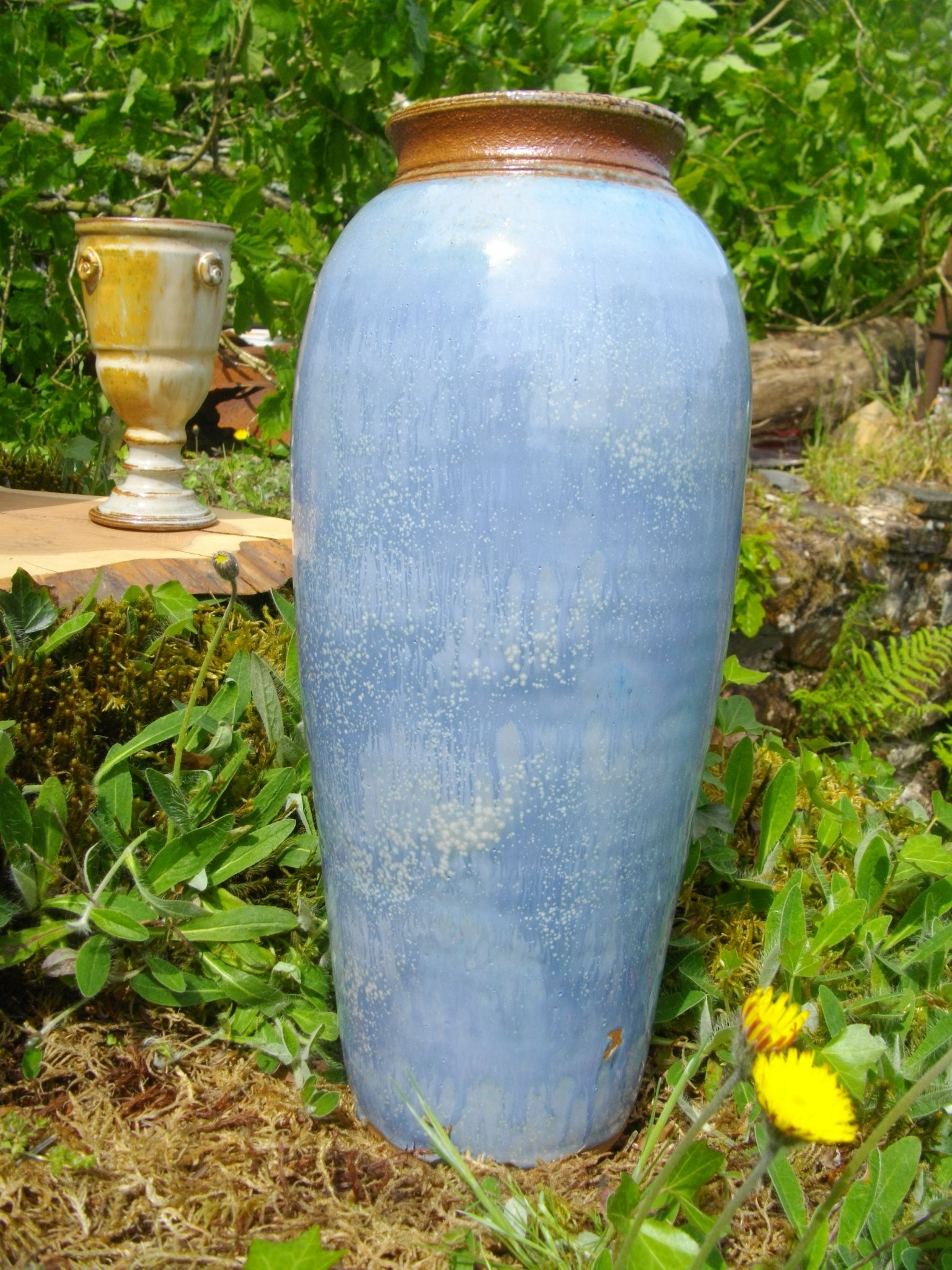 Imgp8897