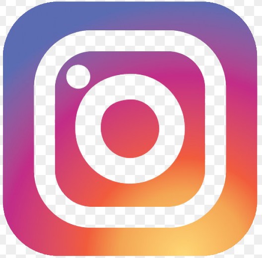 Logo insta