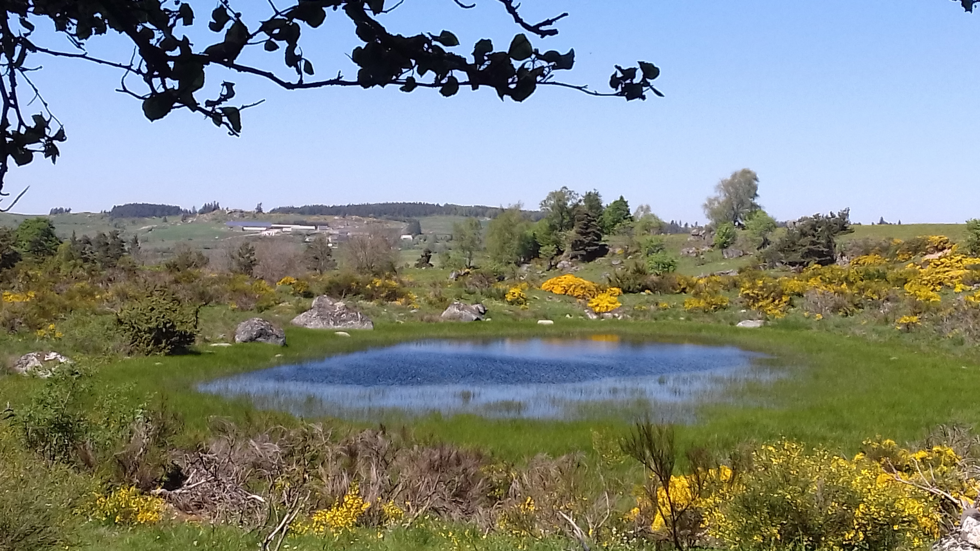 Tour des Monts d'Aubrac GR de Pays