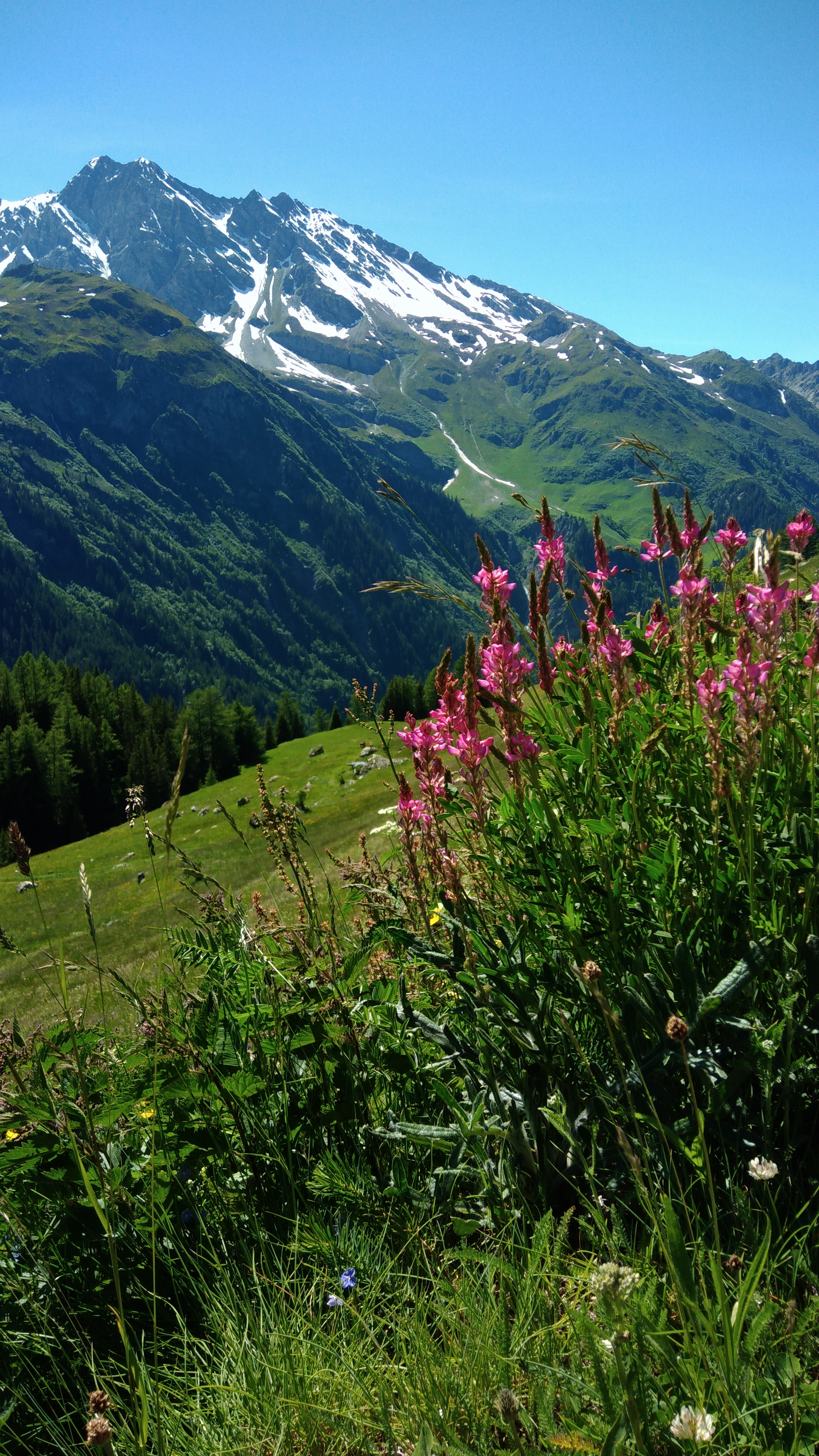 Randonnee en montagne en Savoie Tarentaise les Arcs la Plagne