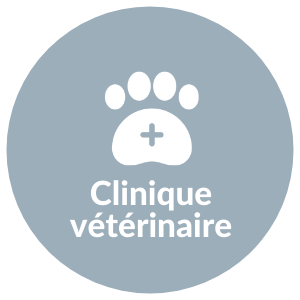 clinique veterinaire Percy-en-Normandie
