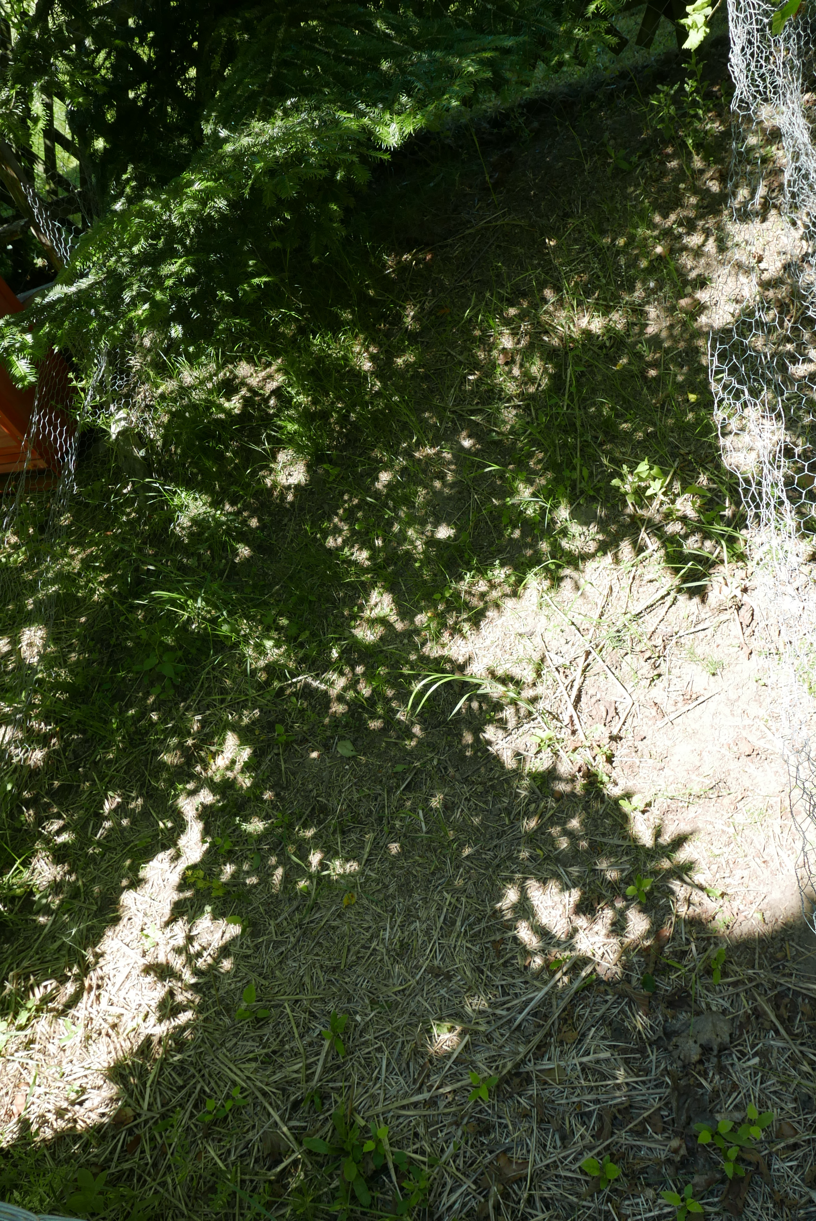 P1490885