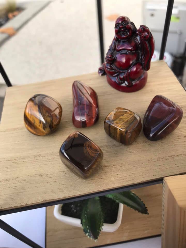 49756166 361341494656526 1812668772360650752 n