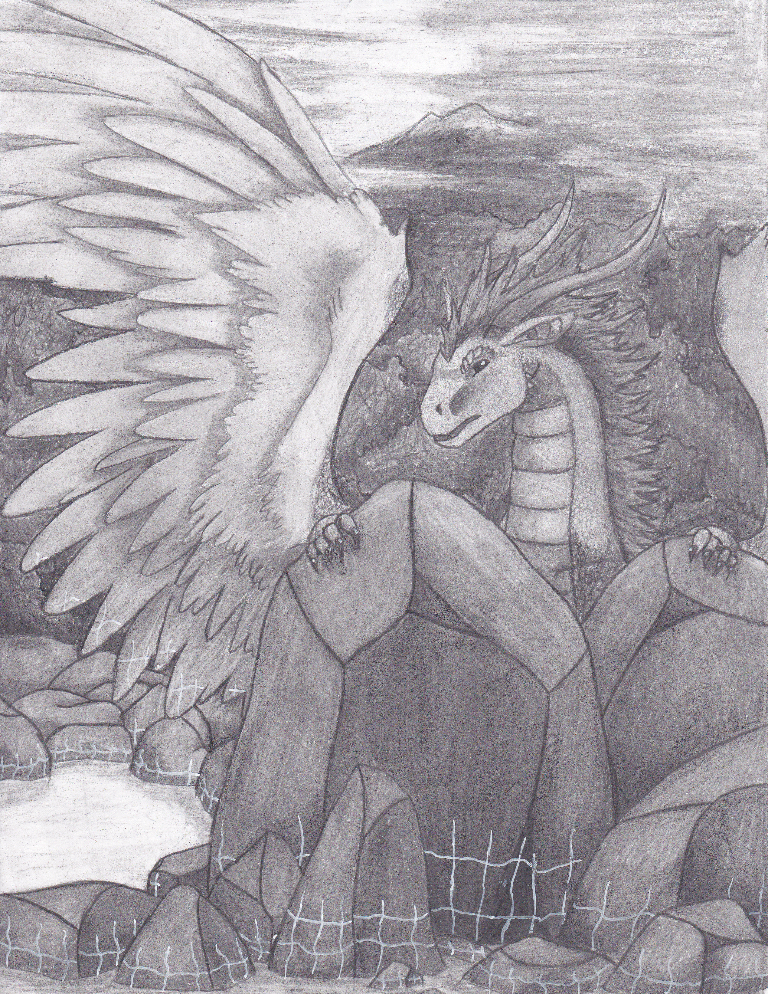 117 24 novembre 2016