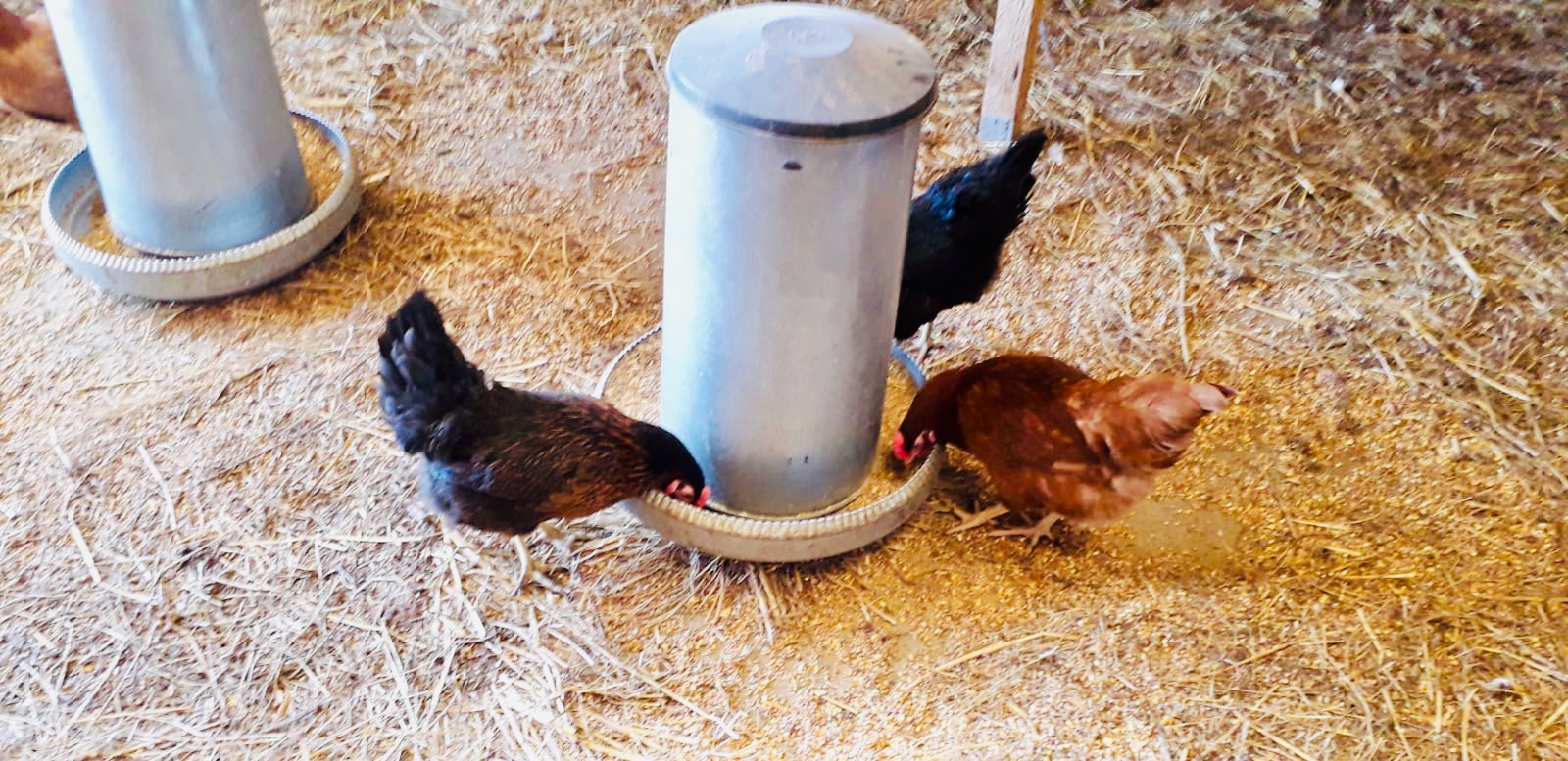 79ee606a bda5 4049 b71e c813fde65123