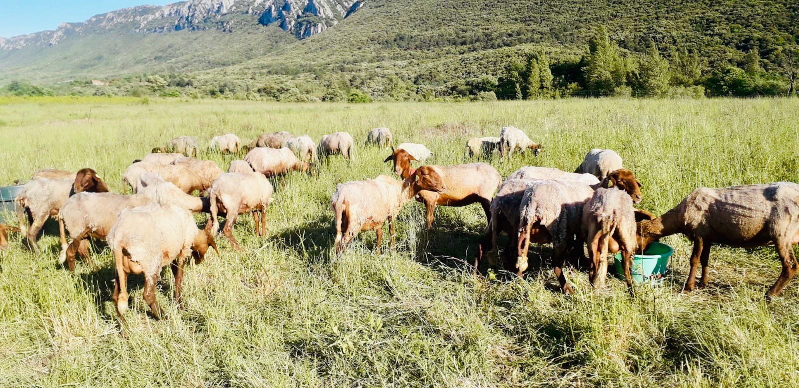 83a0bc21 94e1 4871 9c43 4311311fde59