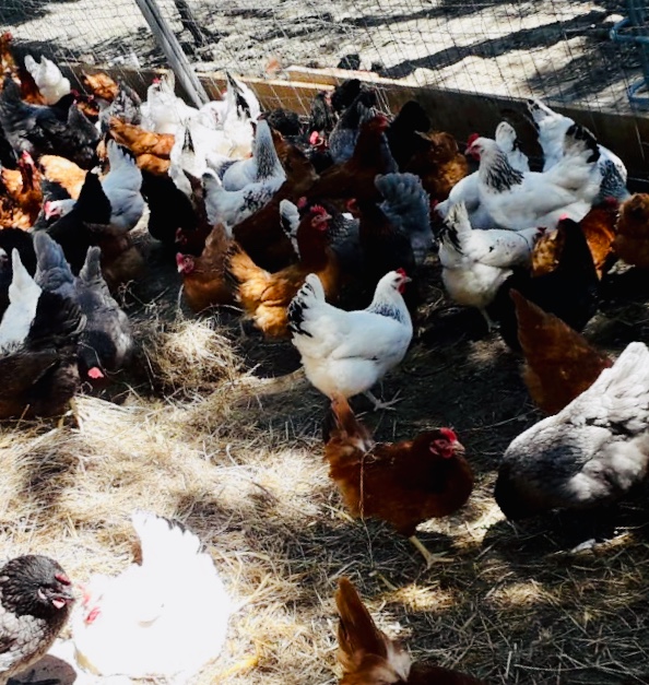 91effe51 c21f 4b81 8e14 2675fd394514