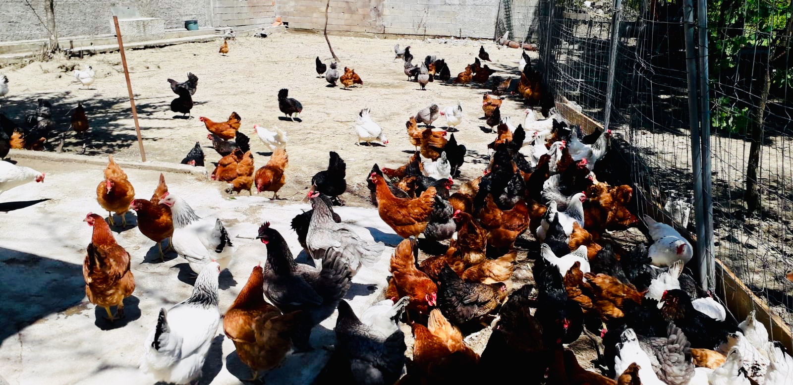 46abd5fc 5d6c 48df acad 80e47820d9a1