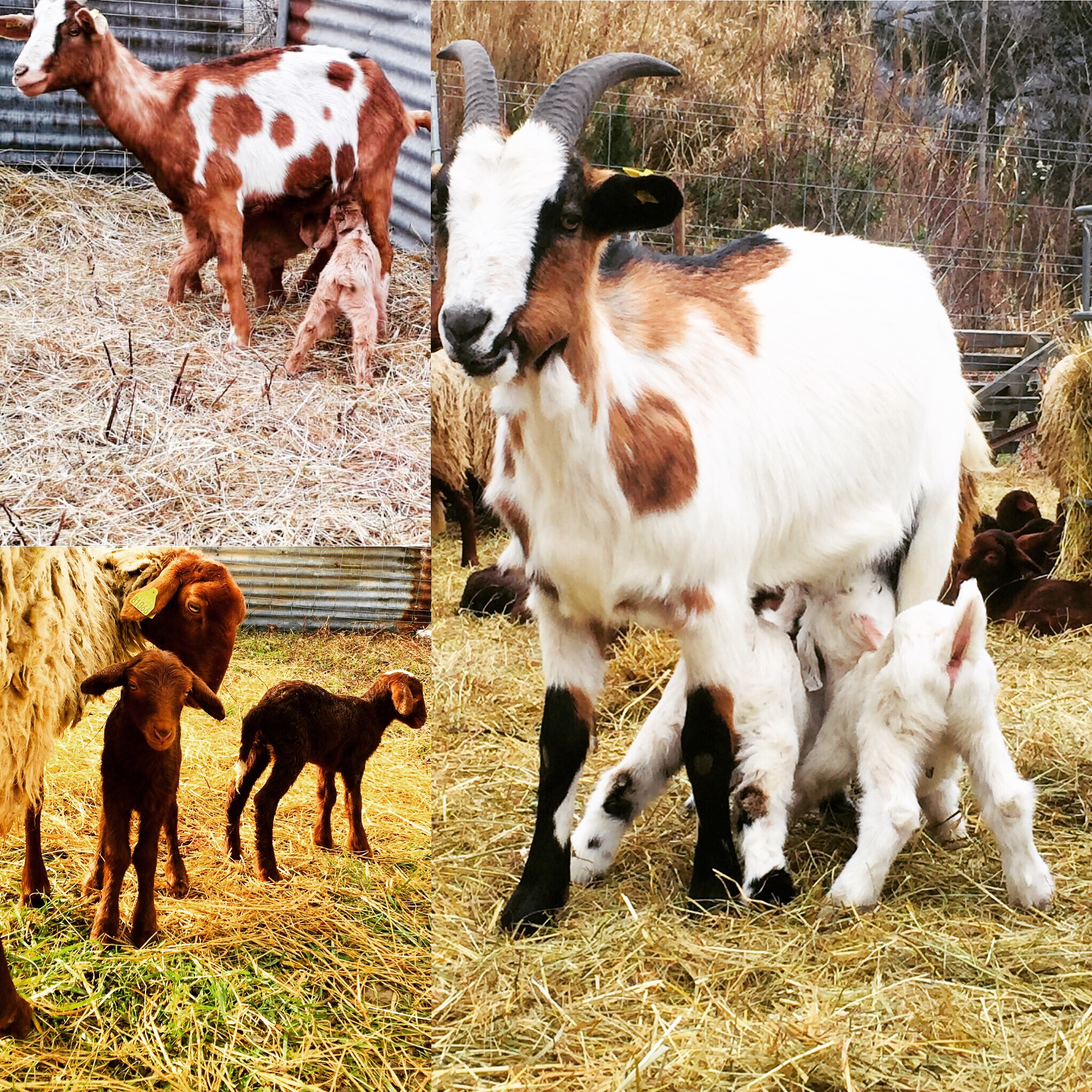 43ddc556 d41c 4439 898e 4b480f404de1