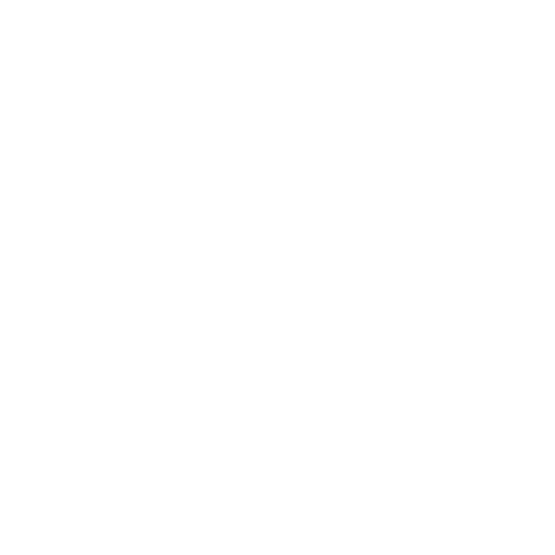 Logo ss bordure