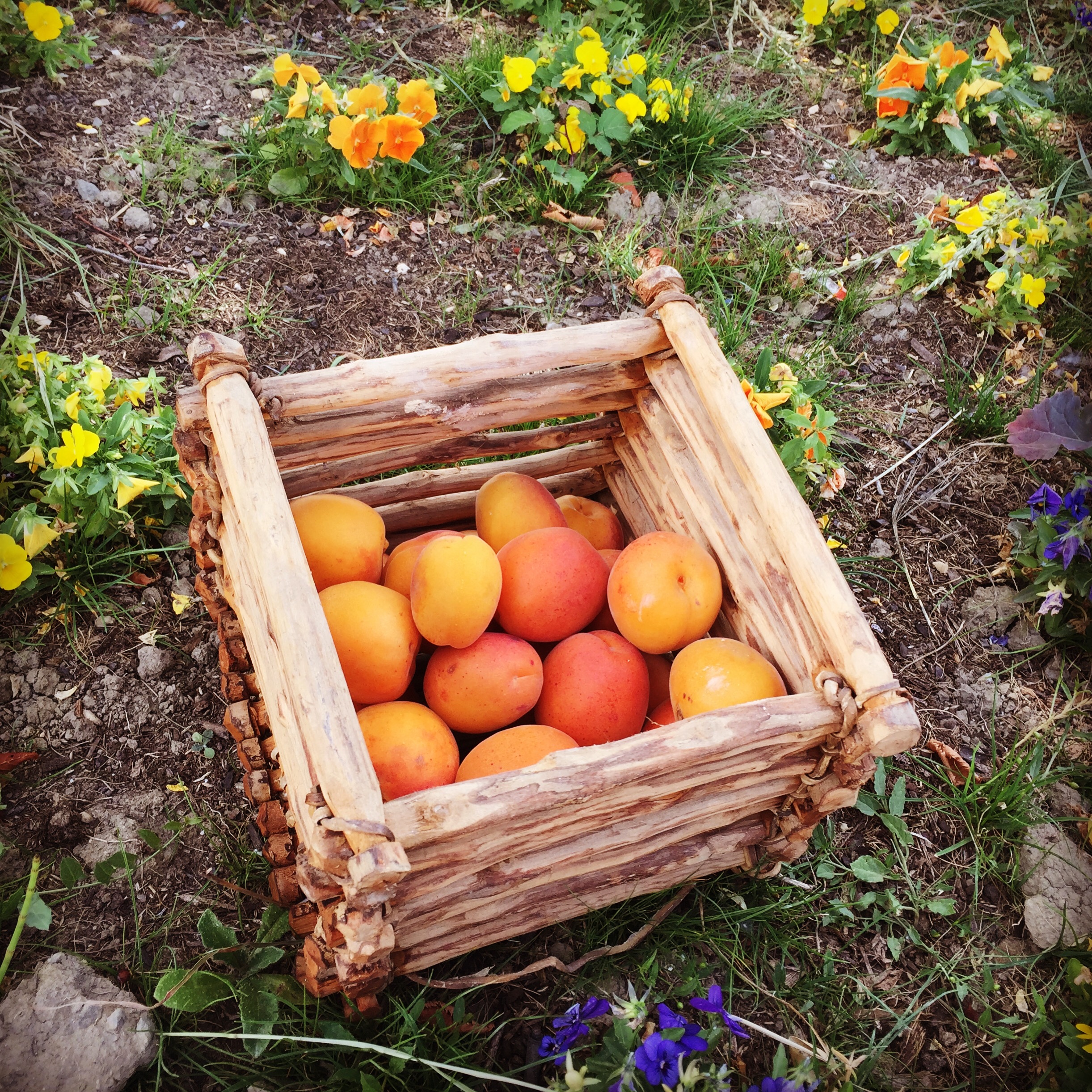 686f9f9a af2f 4cf6 a54b 886239123d24 1 