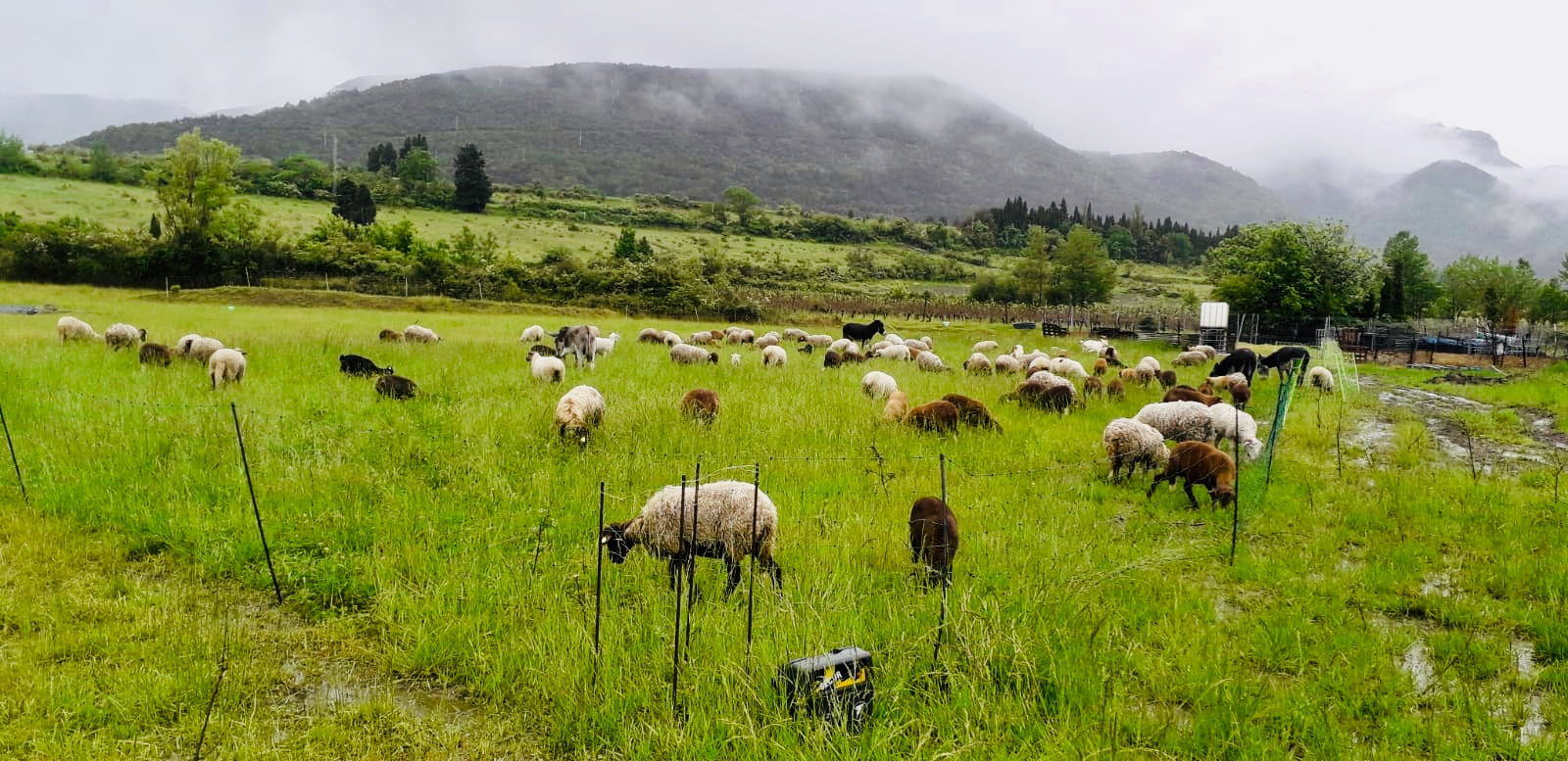 Ab23c88f 7649 4a27 9573 eb8614526405