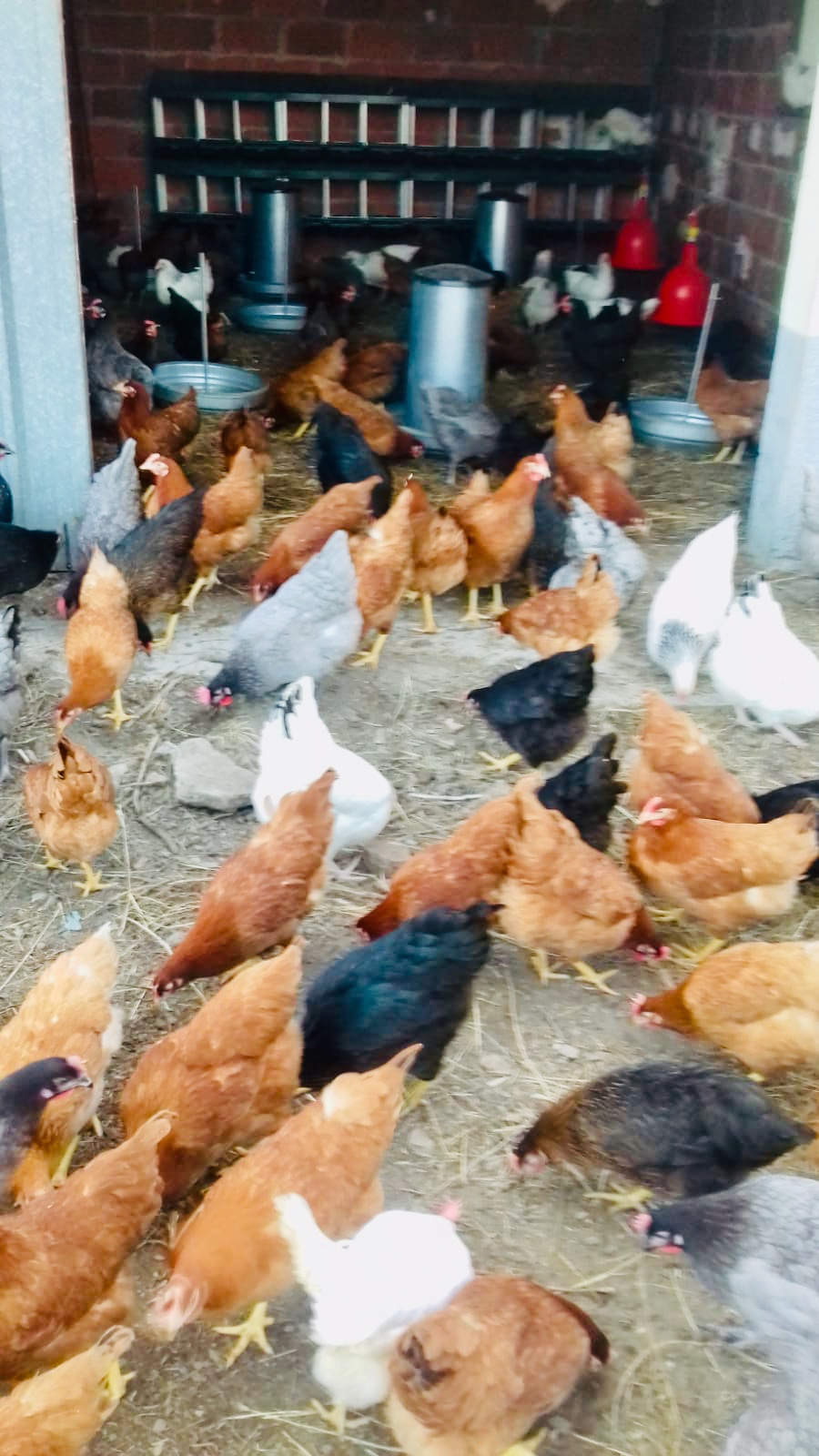 3944c01b 1b92 4dce 947e 3b6e289d40a7