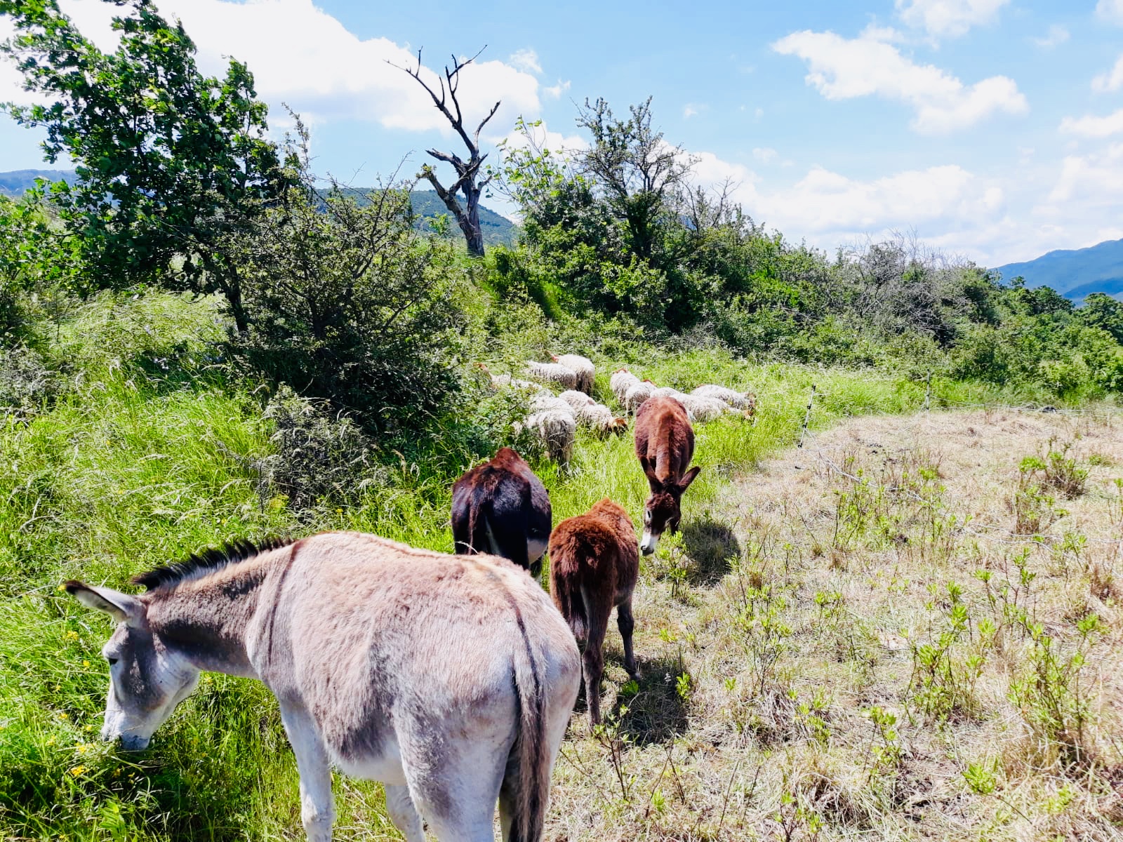 206e5d80 bec9 4552 8f94 5502d24526d7 1 