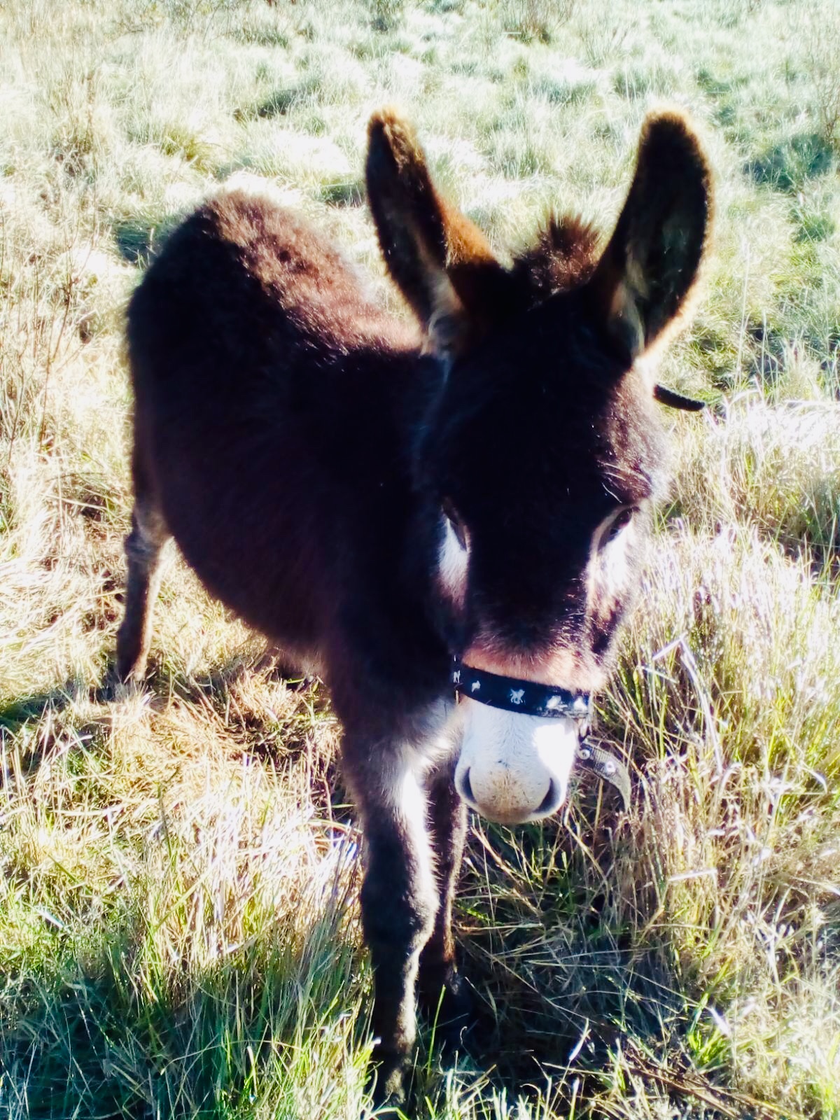 E33f8bb5 8485 4515 be8f 6c3ad470b5bd 1 