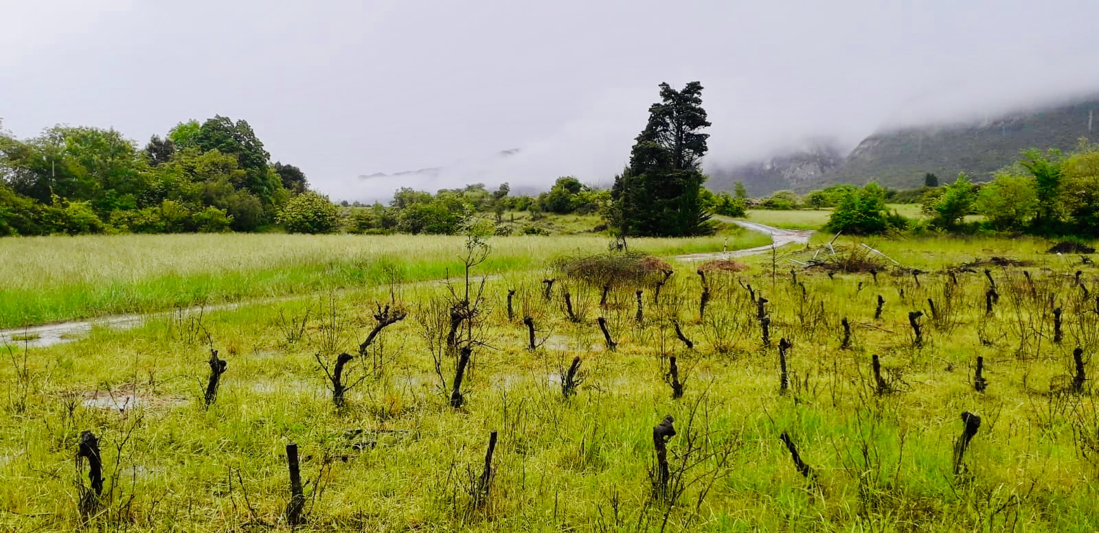 16311f8f 03f5 4964 b249 106207269766