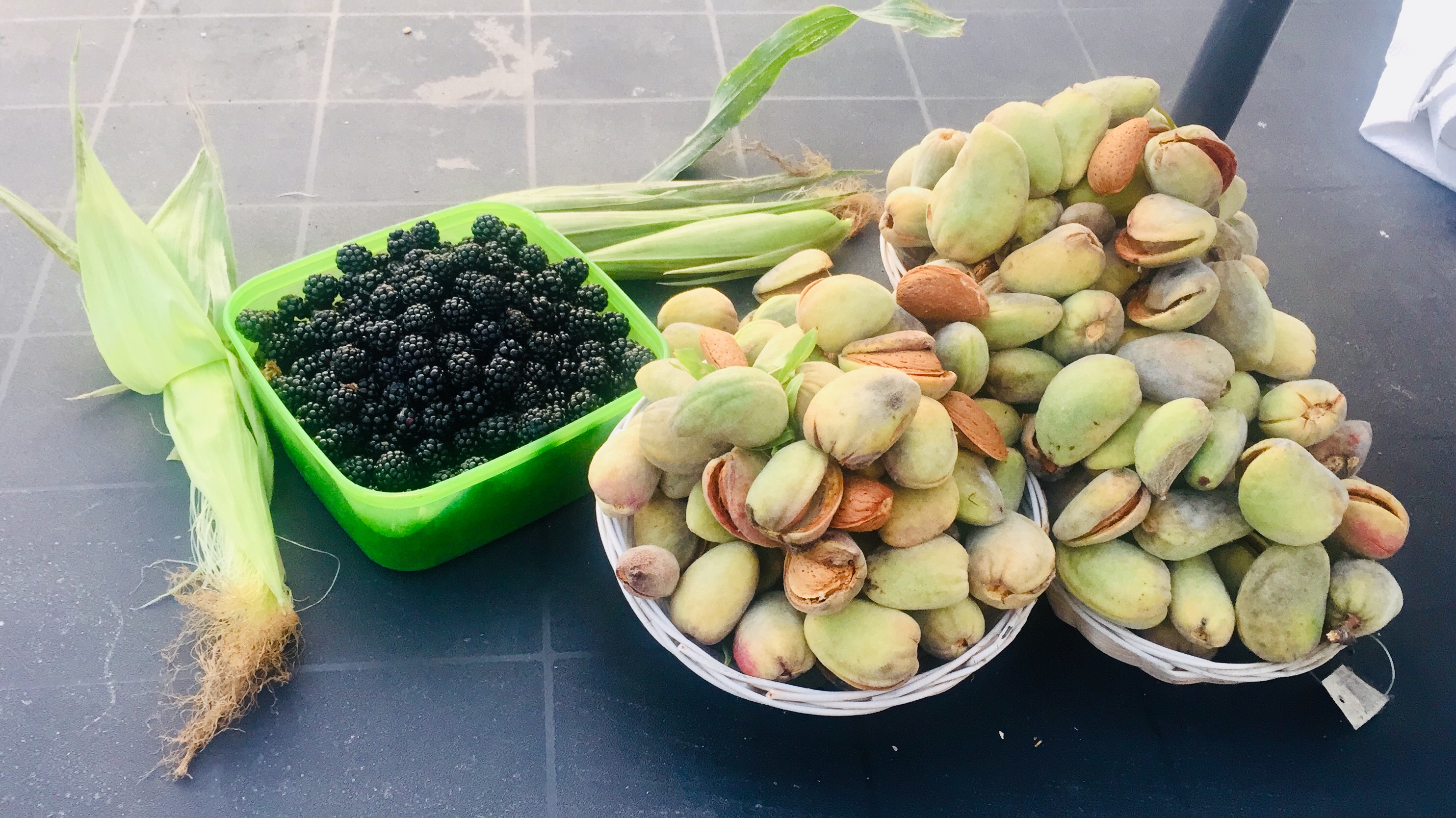 653f3d08 4e58 4598 afe3 119d486a2126 1 